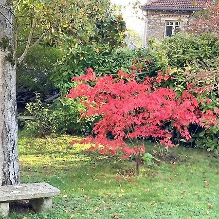 Le Charme De - Paris 2024 Olympics * Viroflay